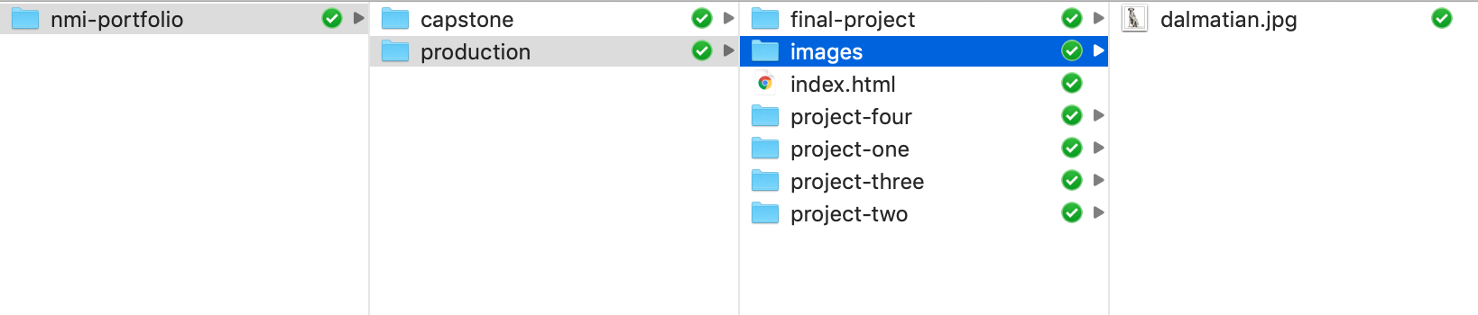 Folder structure highlighting the file path to dalmatian.jpg