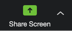 Zoom screen sharing options