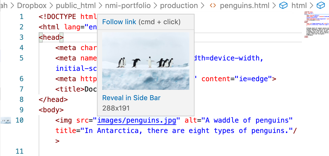 In Visual Studio Code, the img src line is hovered on, revealing an image preview of penguins standing on top of thick ice.