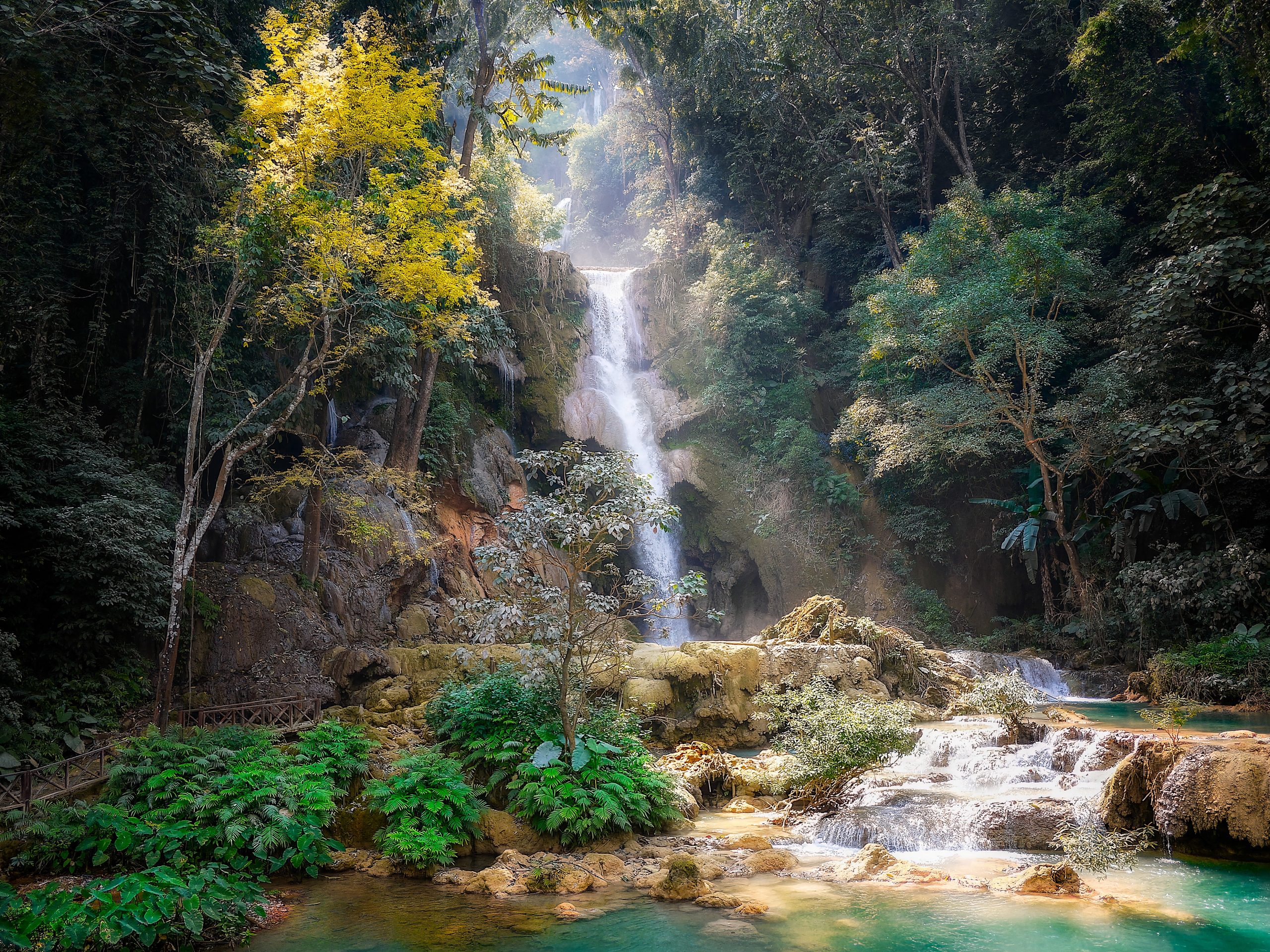 Waterfall in forest