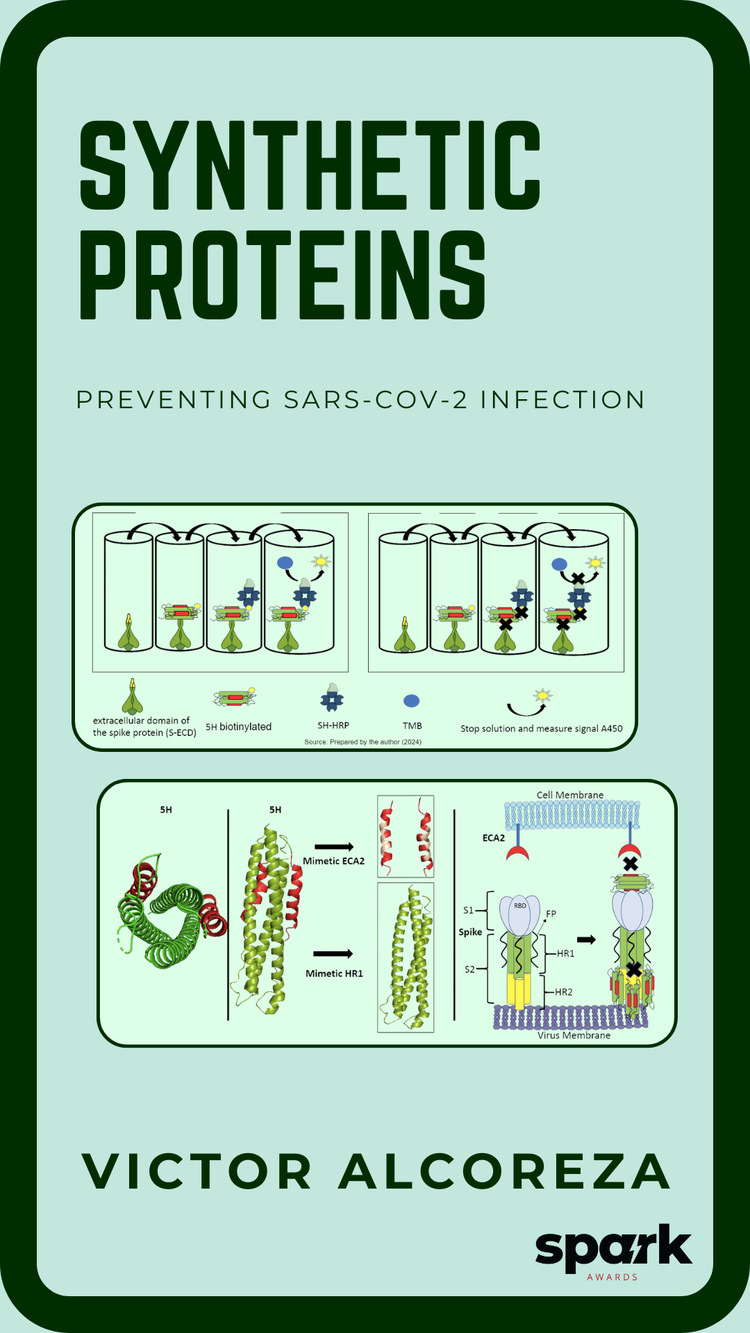 Synthetic Proteins to Prevent SARS-CoV-2 Infection